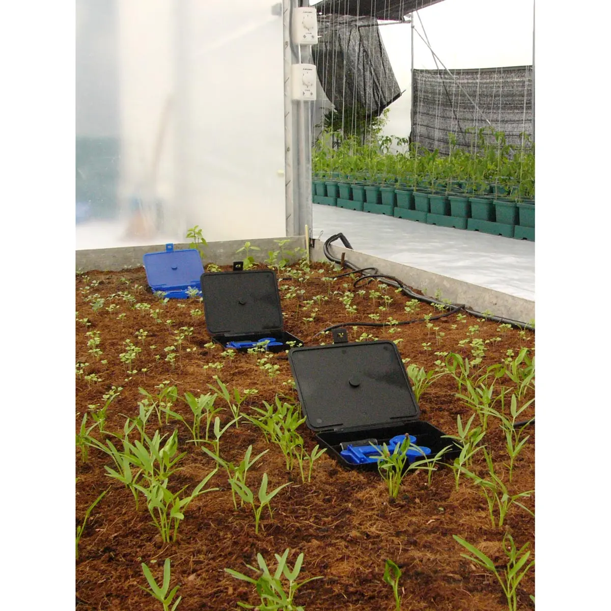 AQUAbox Gerade Komplett-Set