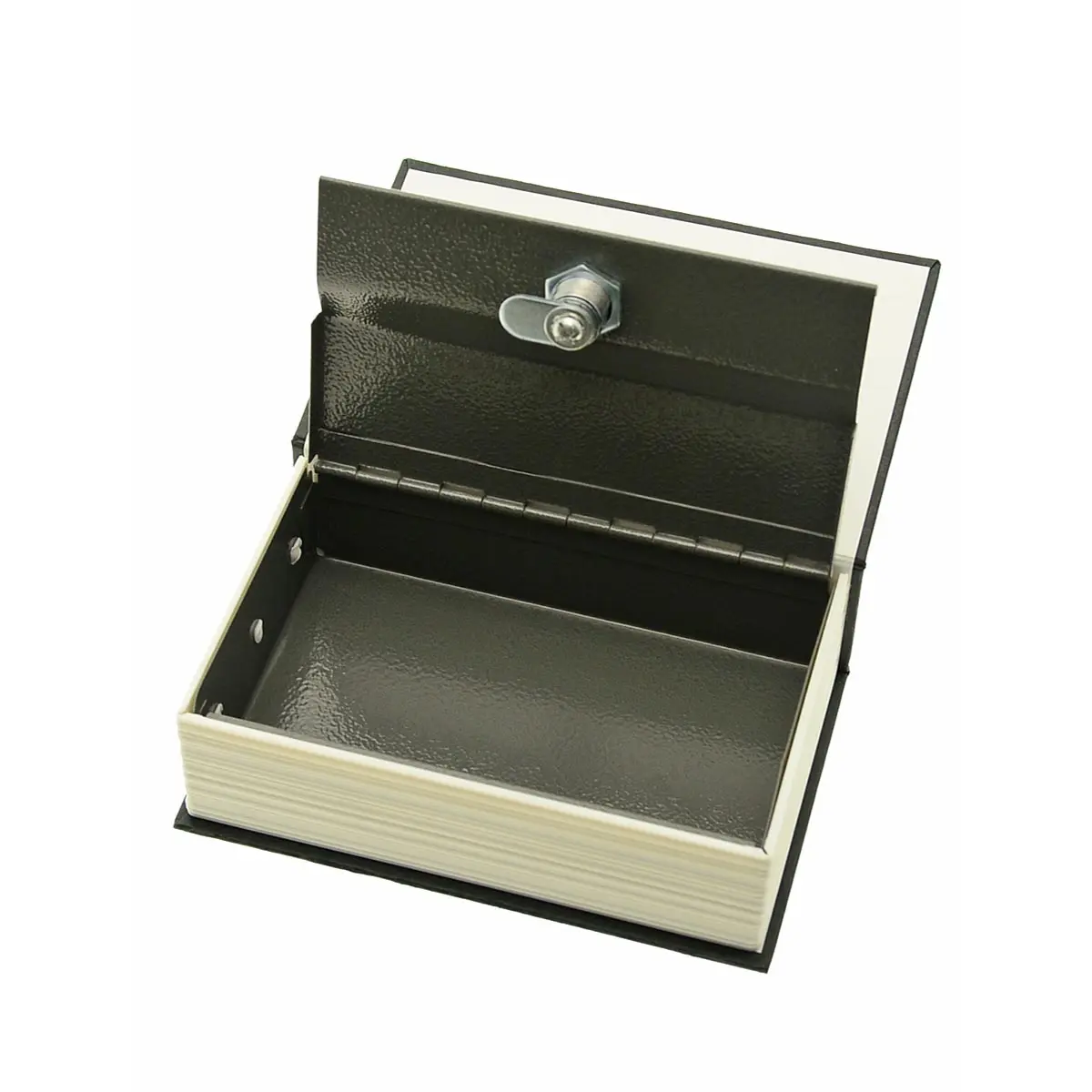 Buchversteck "Dictionary"