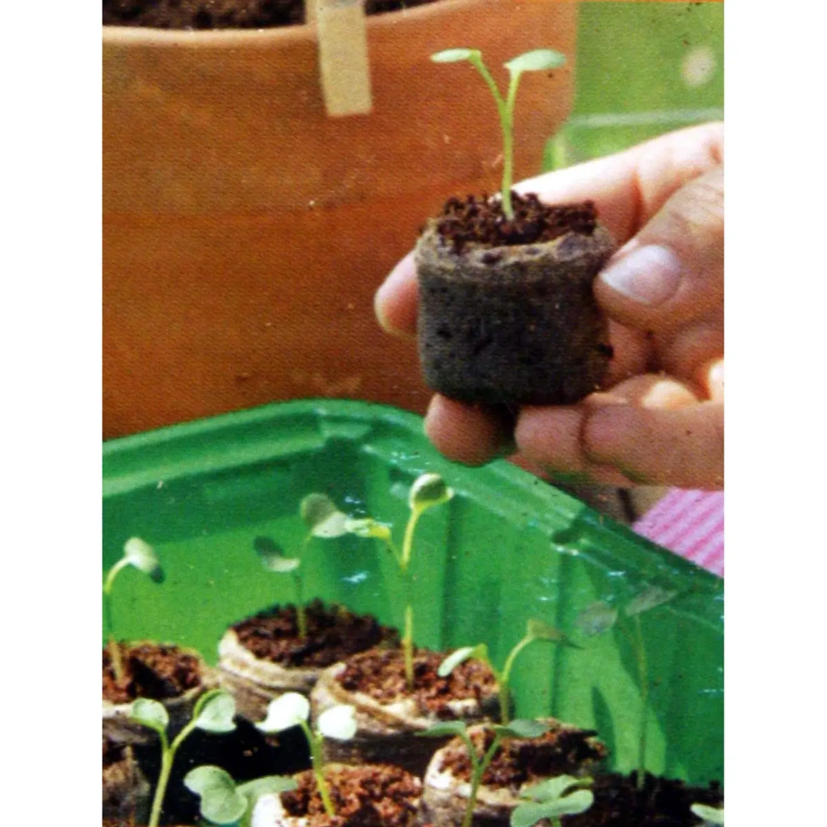 100 Kokos-Quelltabletten, Ø 3,6 cm