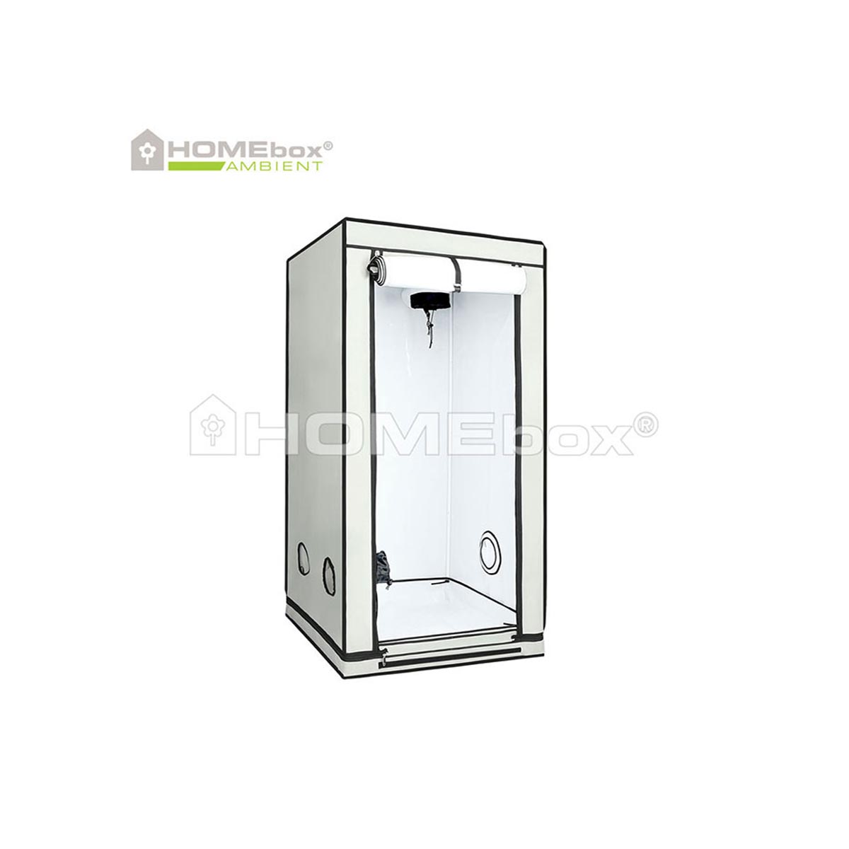 HOMEbox Ambient Q80+ | nur 189,95