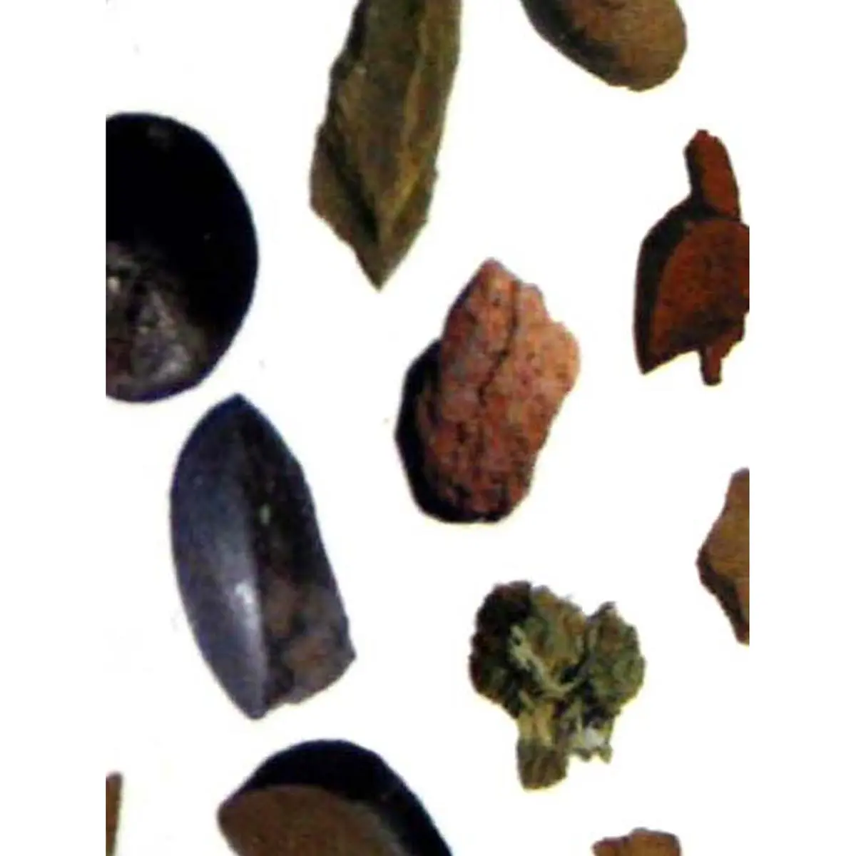 Klick-Klack Dose Rocks