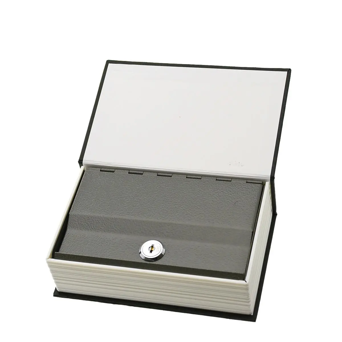 Buchversteck "Dictionary"