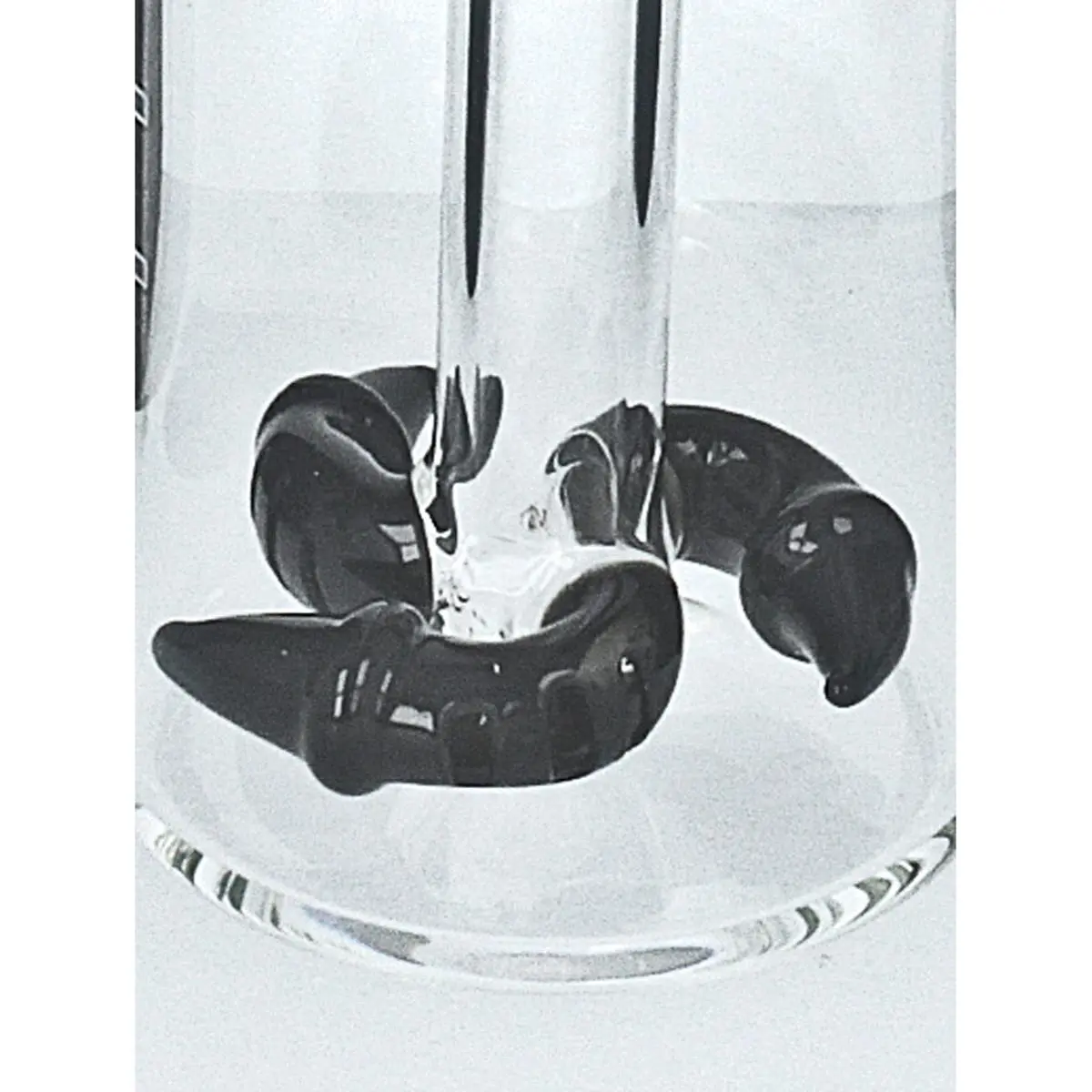 Jelly Joker Vorkühler 'Boomerang' 14,5