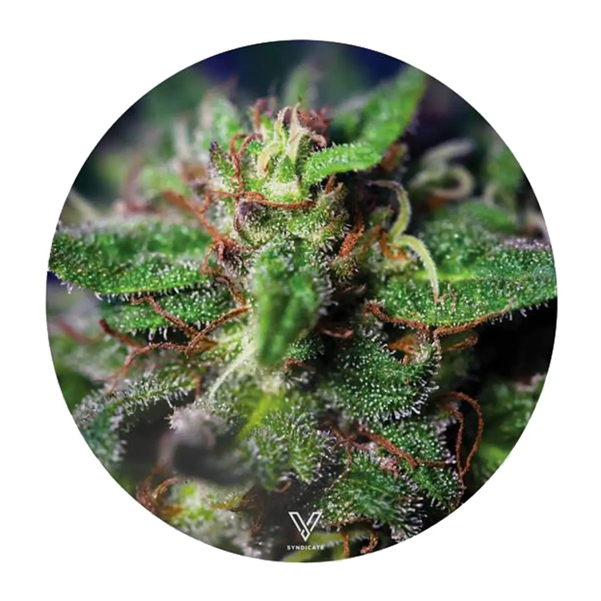 Silikonuntersetzer 'Weed Bud'