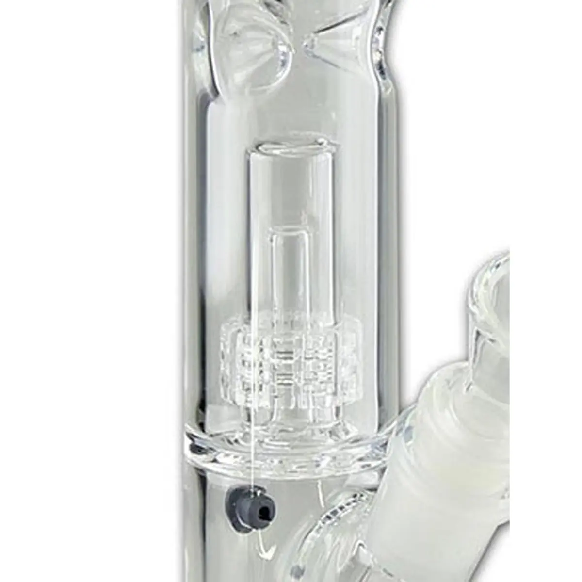 Black Leaf Eisbong 'Drumperc' 30cm