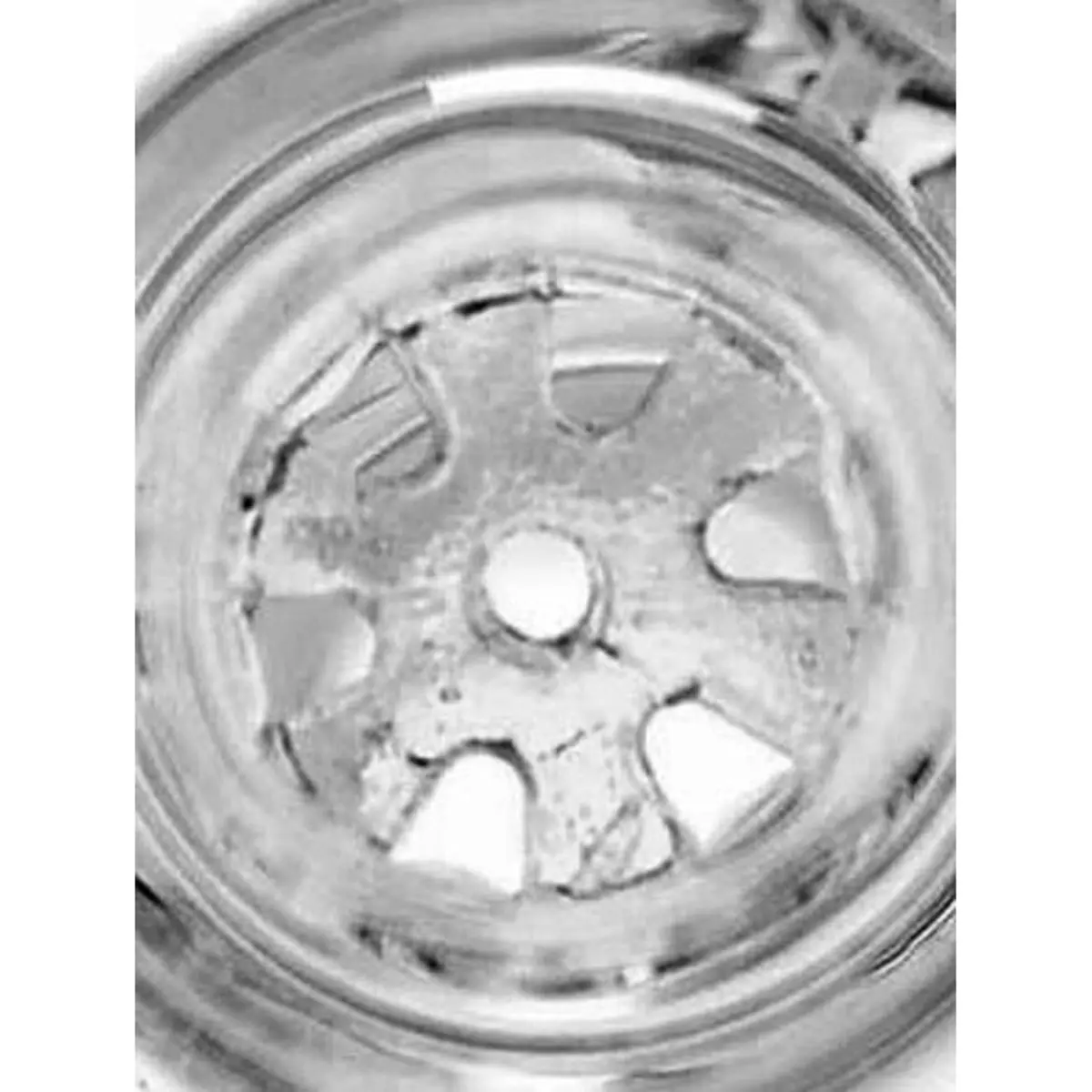 Jelly Joker Köpfchen mit Sieb 18,8