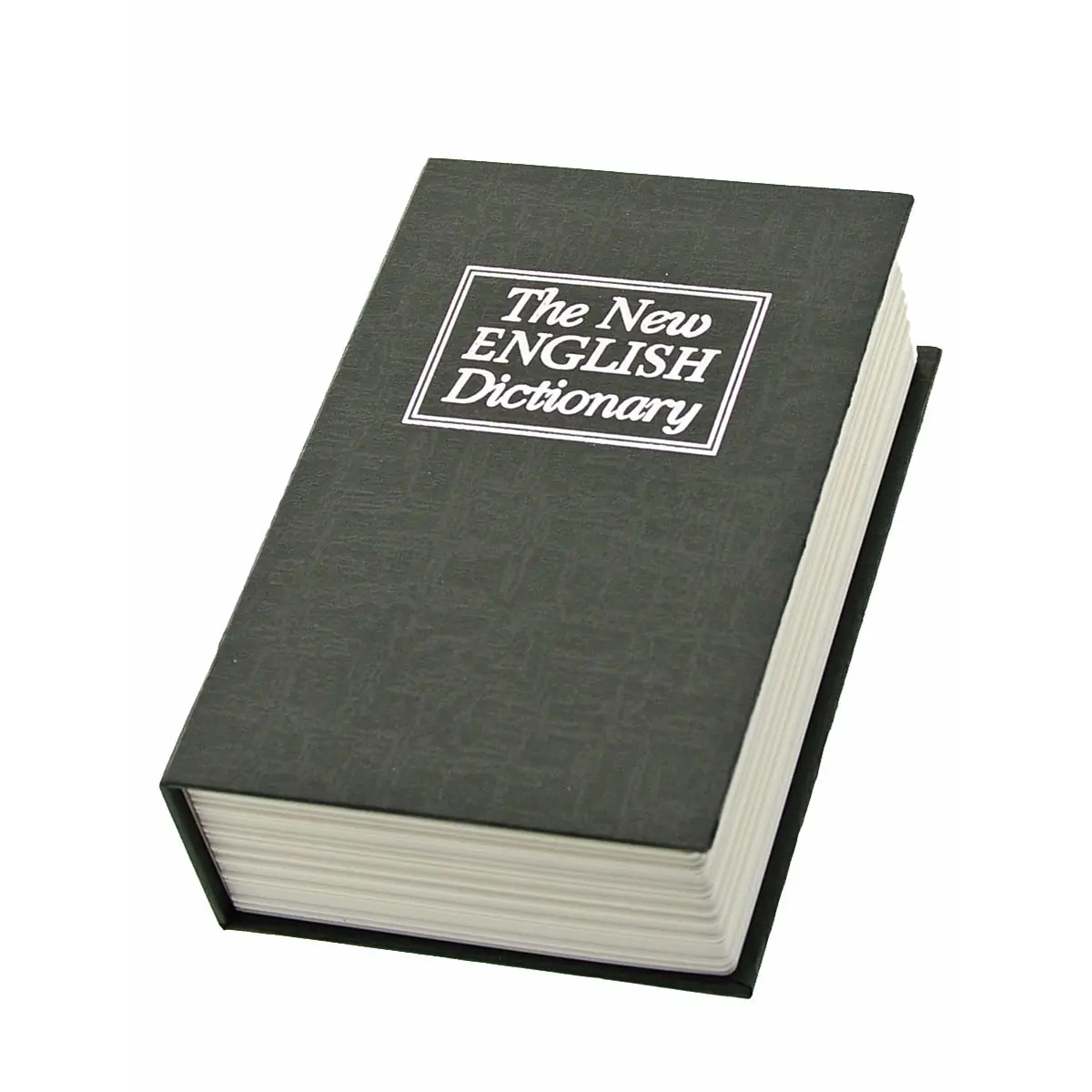 Buchversteck "Dictionary"