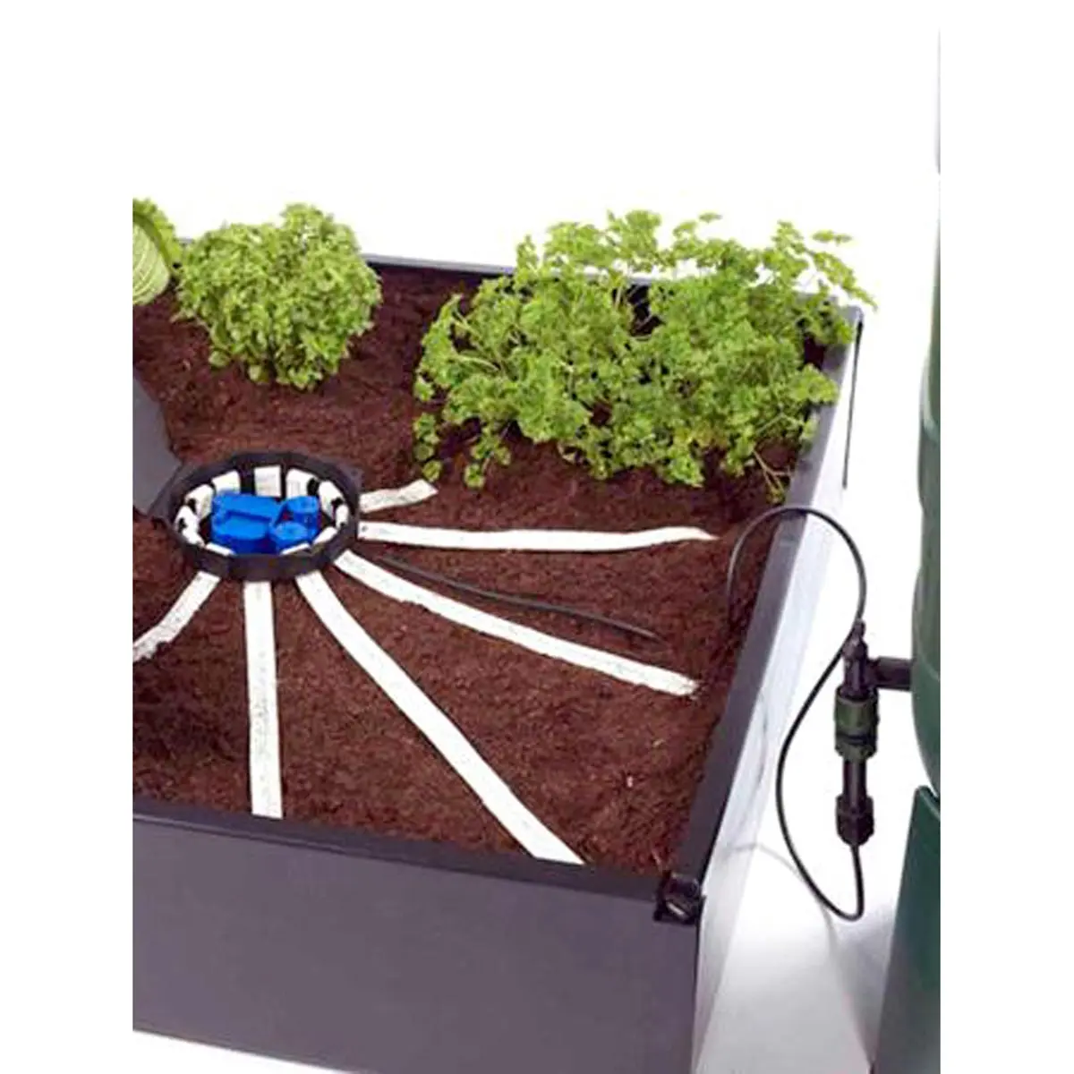 AQUAbox Spyder Komplett-Set