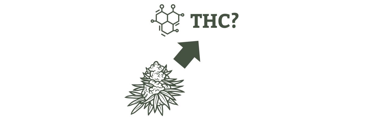Cannabis Decarboxylieren: Dein Guide zur vollen Wirkung für deine Buds! - Cannabis Decarboxylieren: So aktivierst wirklich du das THC in deinen Buds!