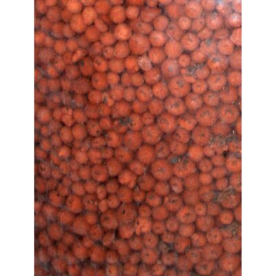 Plagron Euro Pebbles - 45l Sack