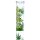 Glas Bong Tree of Life Leaf Jhari - 45cm